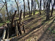 42 Lascio il sent. 504 e risalgo a sx verso la baita e il roccolo di Colle Pradali (850 m)